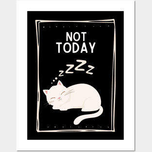 Not Today Sleeping Cat Posters and Art